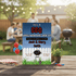 Personalized Backyard BBQ Housewarming Invitation – Editable Rustic Party Template